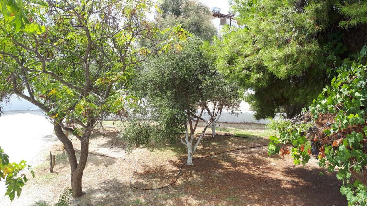 Chrisanthi Studios Agios Prokopios  Exteriör bild